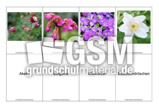 Blumen-Memo-Aufdeckspiel-15.pdf